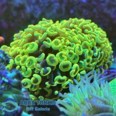 5f33358a-a7c4-47d0-b566-6685492be0d4 (1).jpg