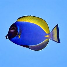 WhatsApp Image 2026-03-27 at 14.49.21.jpeg