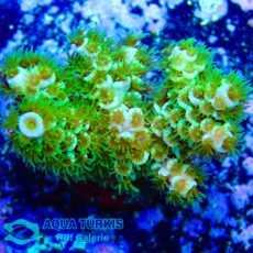 WhatsApp Image 2026-04-02 at 21.26.09.jpg