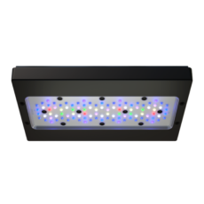 ecotech-marine-radion-xr30-g6-pro.png