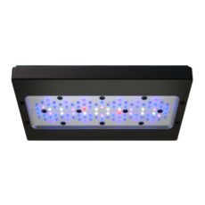 ecotech-marine-radion-xr30-g6-blue.png