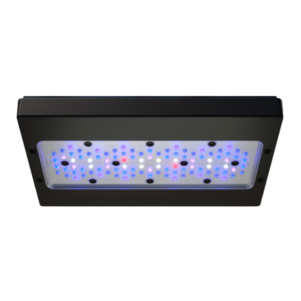 ecotech-marine-radion-xr30-g6-blue.png