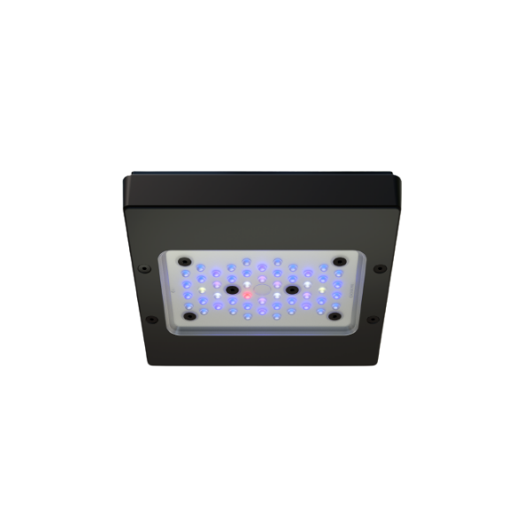 ecotech-marine-radion-xr15-g6-blue.png