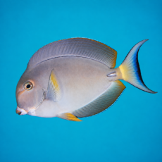 7545af16-89f8-4c35-abe5-0f52143332a0.png