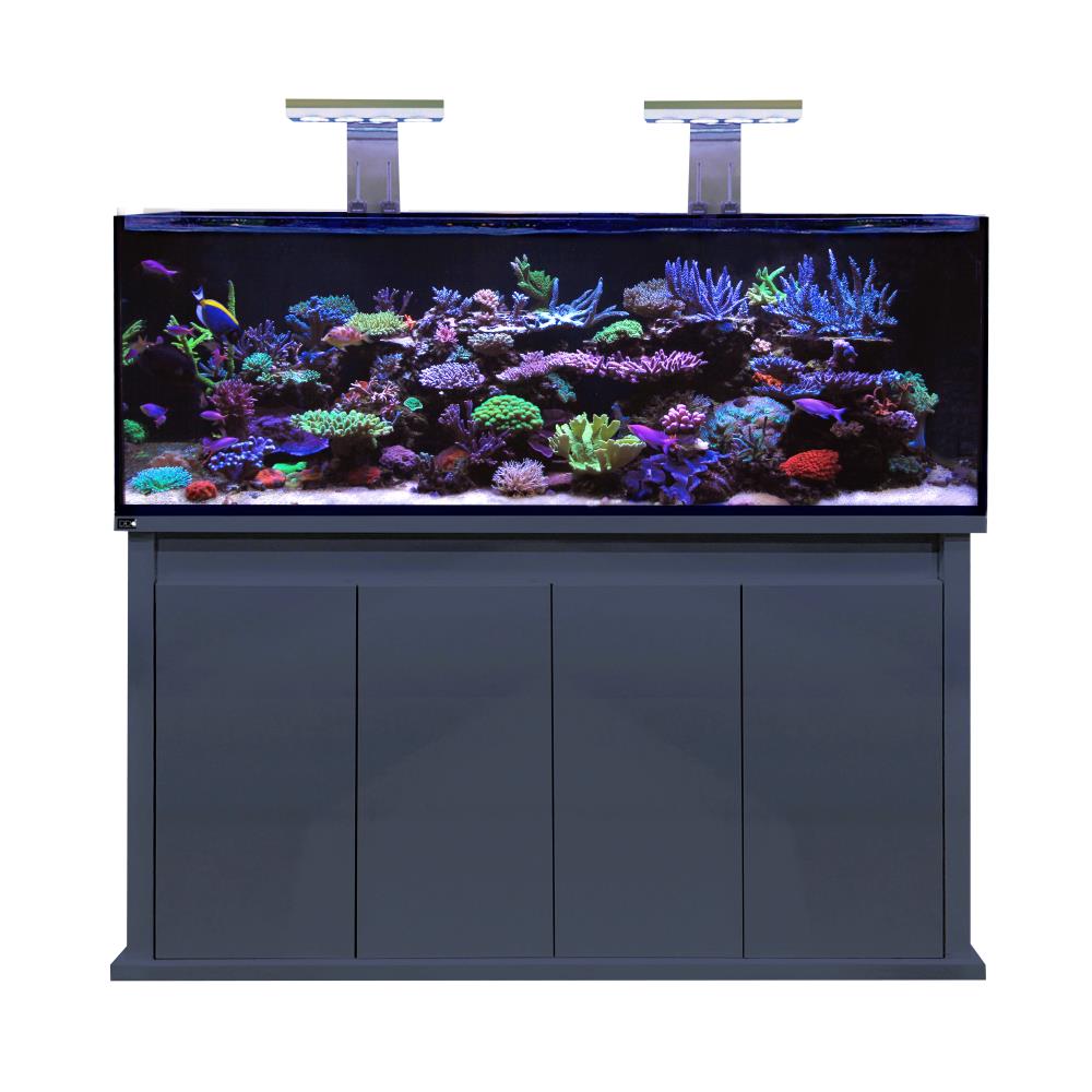 D_D-Reef-Pro-1500s-Anthracite-no-lights_1548.jpg