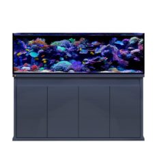 D_D-Reef-Pro-1800-Anthracite-No-Lights_4170.jpg