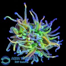 20e63dde-ccf7-45a1-ad02-0badad92580b.jpg